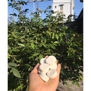 Combo gói 10 viên phân bón tan chậm buviplant siêu dinh dưỡng cho cây