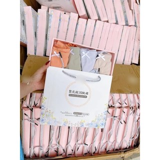 Hộp 8 quần lót cotton co giãn 4 chiều thoáng mát cho nữ