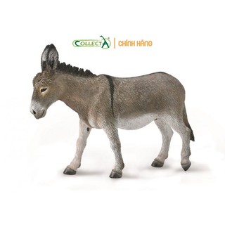 Mô hình động vật: Lừa