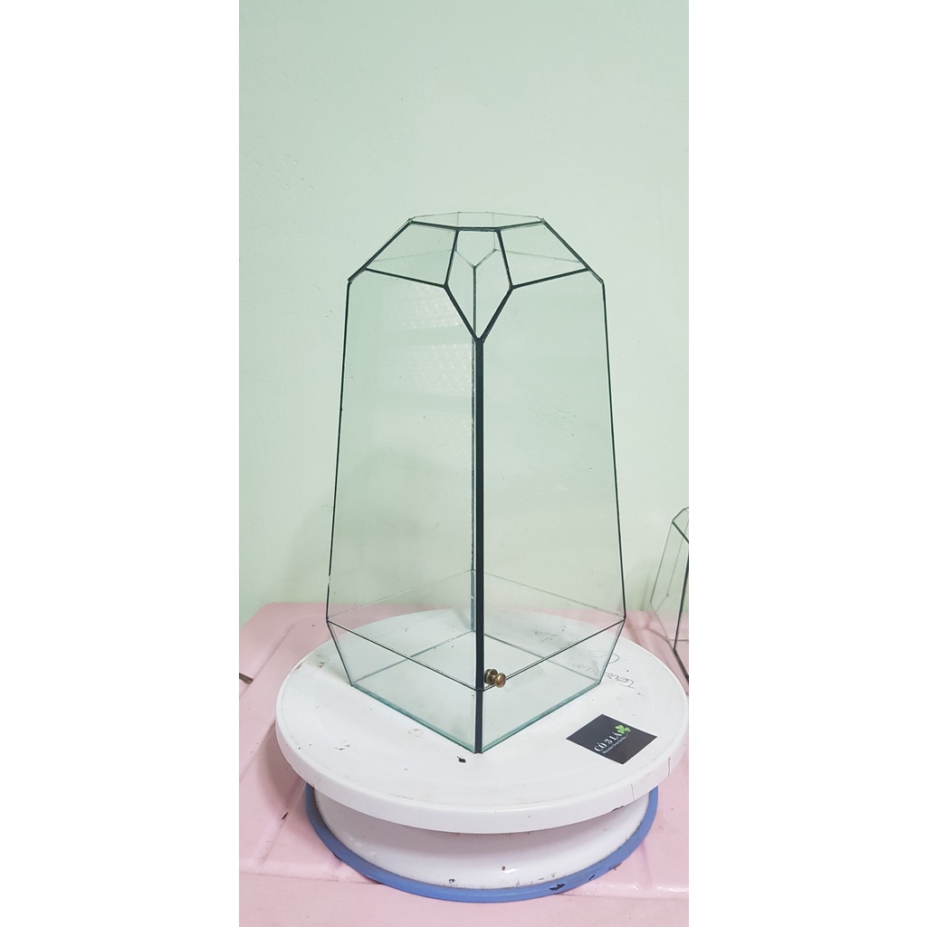 Bình thủy tinh terrarium tiểu cảnh bán cạn đa giác mẫu mắt ngọc