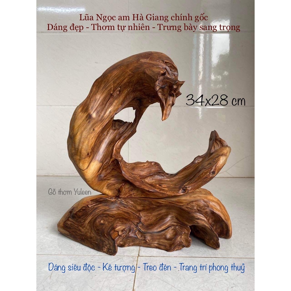 Lũa Ngọc Am Hà Giang, gỗ ngọc am đỏ phong thuỷ, lũa gỗ đẹp, xông trầm, gỗ thơm để bàn, trang trí trư