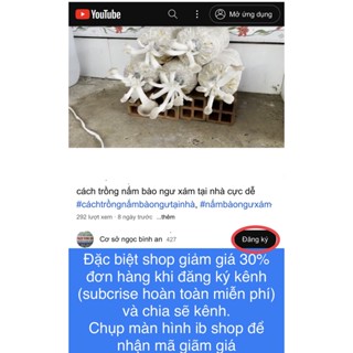 BIOTED NẤM RƠM