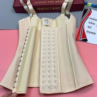 Đai gile 29 cm nhập khẩu hy lạp