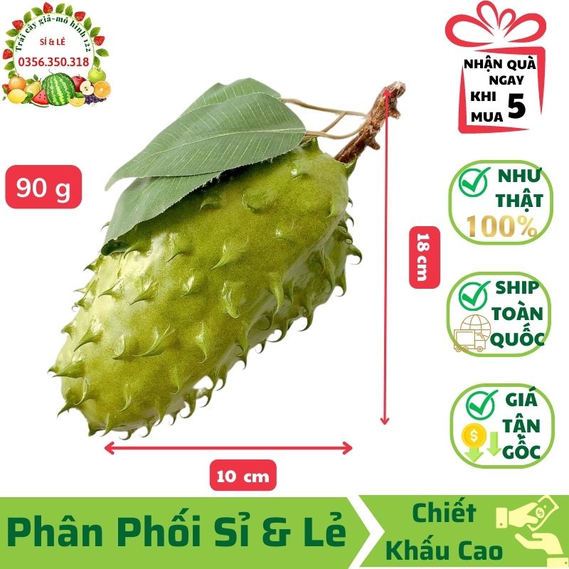Trái Mãng Cầu Gai Lớn Giả(10x23 cm)mô hình Việt Nam công nghệ Thái Lan GIỐNG THẬT 99%-Trang trí nhà, cửa hàng,decor