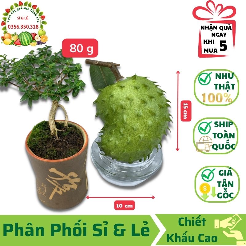 Trái Cầu Gai Tròn Giả (15x10cm) mô hình Việt Nam công nghệ Thái Lan GIỐNG THẬT 99%-Dùng trang trí nhà, cửa hàng, decor