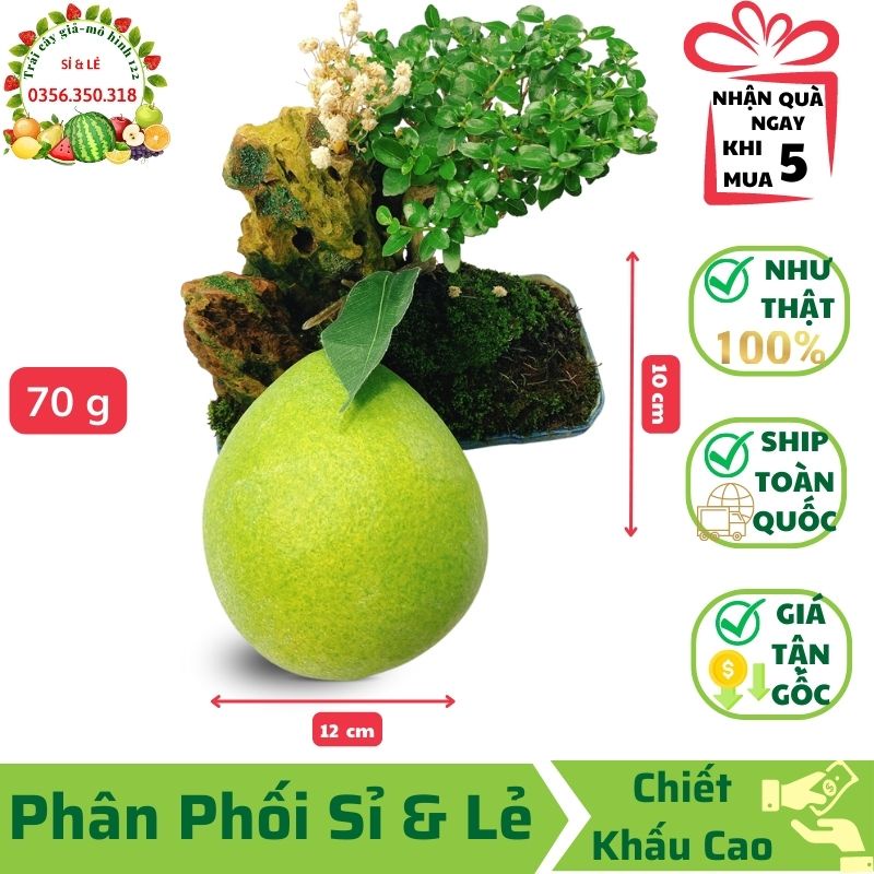 Trái Bưởi Nhỏ Giả (10x12 cm) mô hình Việt Nam công nghệ Thái Lan GIỐNG THẬT 99%-Trang trí nhà, hàng quán decor chụp hình