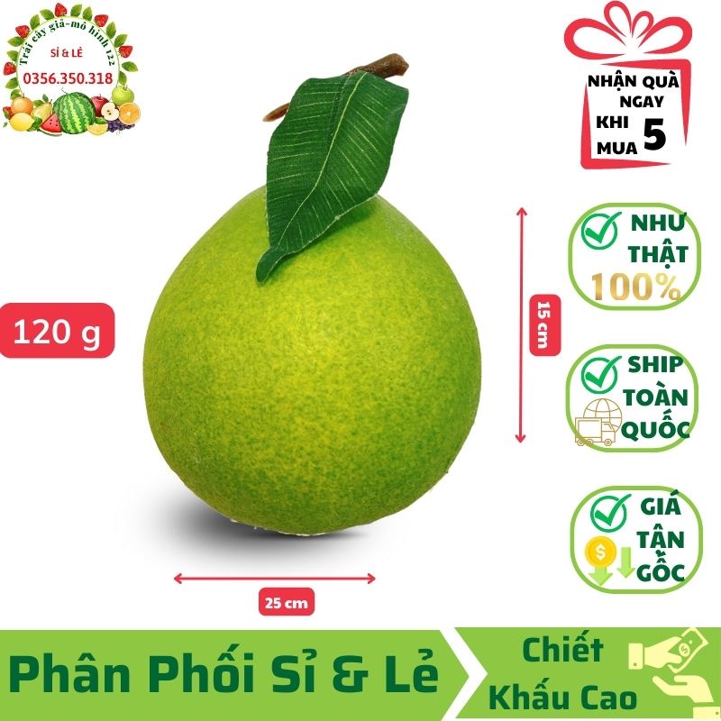 Trái Bưởi Trung Giả (15x25 cm) mô hình Việt Nam công nghệ Thái Lan GIỐNG THẬT 99%-Trang trí nhà cửa, hàng quán decor