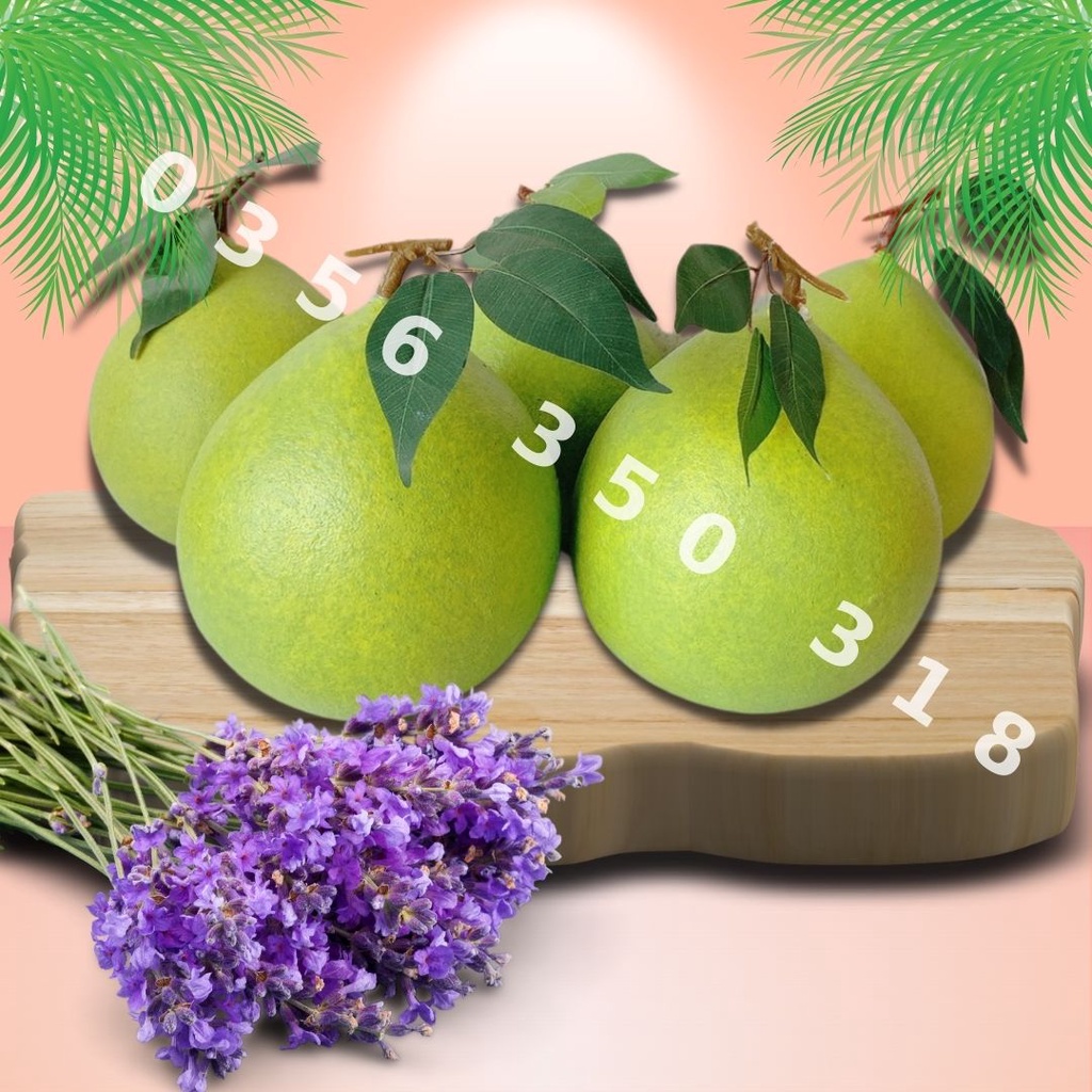 Trái Bưởi Đại Giả  mô hình Việt Nam công nghệ Thái Lan GIỐNG THẬT 99%-Trang trí nhà cửa, hàng quán decor