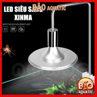 Đèn led Xinma bể cá thủy sinh, terrarium, bán cạn