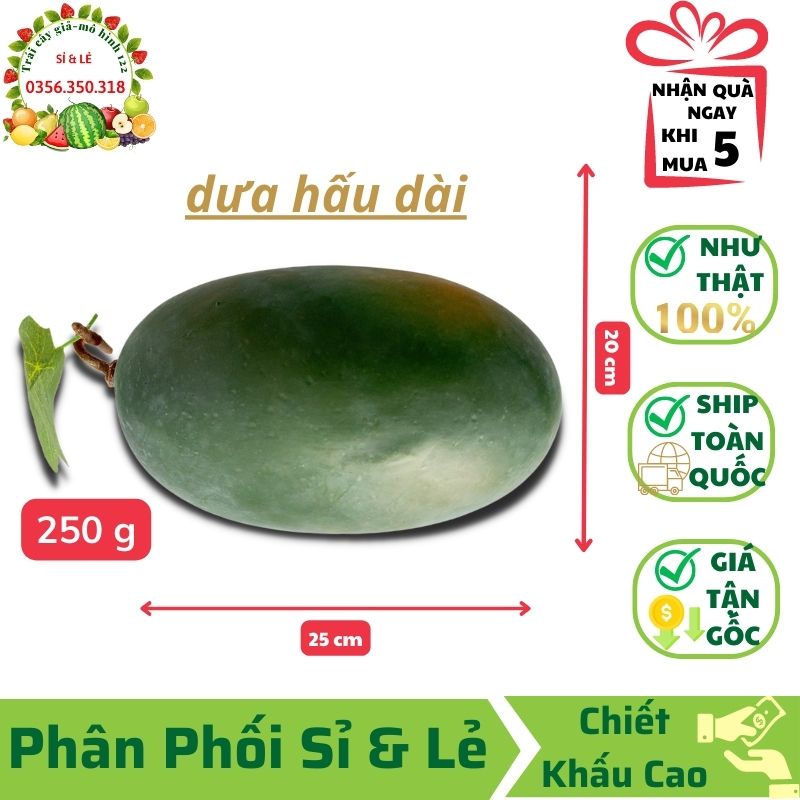 Trái Dưa Hấu Dài Giả(20x25 cm) mô hình Việt Nam công nghệ Thái Lan GIỐNG THẬT 99%-Trang trí nhà, cửa hàng, decor