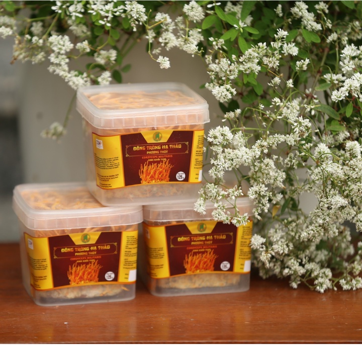 Đông Trùng Hạ Thảo Tươi Cao Cấp 125Gr - Thế Giới Đông Trùng Hạ Thảo