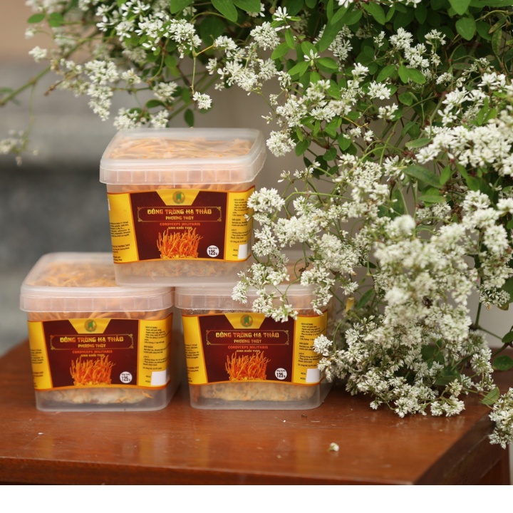 Đông Trùng Hạ Thảo Tươi Cao Cấp 125Gr - Thế Giới Đông Trùng Hạ Thảo