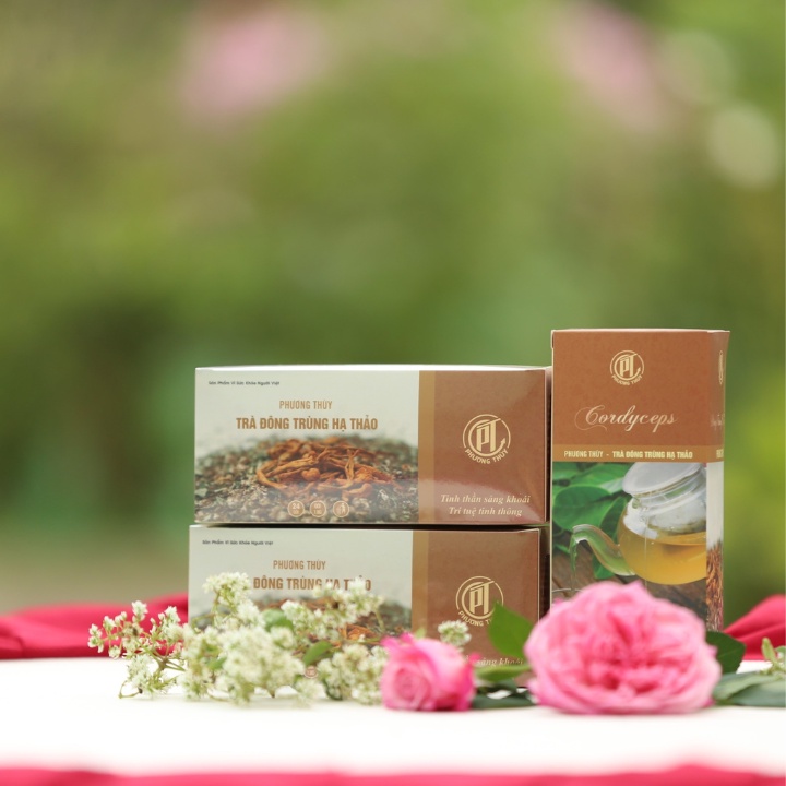 Trà Đông Trùng Hạ Thảo Hộp 24 Gói - Chính Hãng Thế Giới Đông Trùng Hạ Thảo
