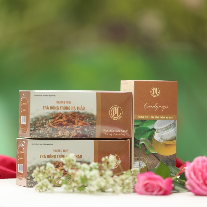 Trà Đông Trùng Hạ Thảo Hộp 24 Gói - Chính Hãng Thế Giới Đông Trùng Hạ Thảo