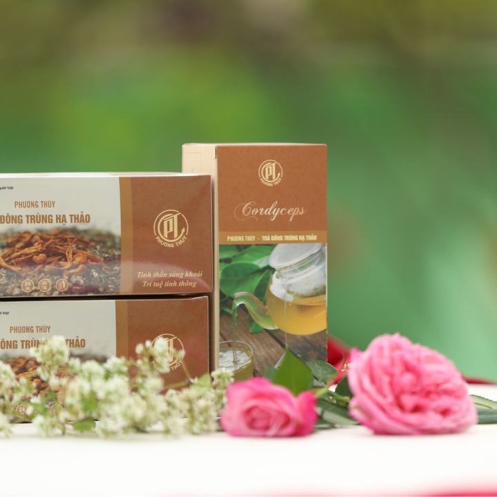 Trà Đông Trùng Hạ Thảo Hộp 24 Gói - Chính Hãng Thế Giới Đông Trùng Hạ Thảo