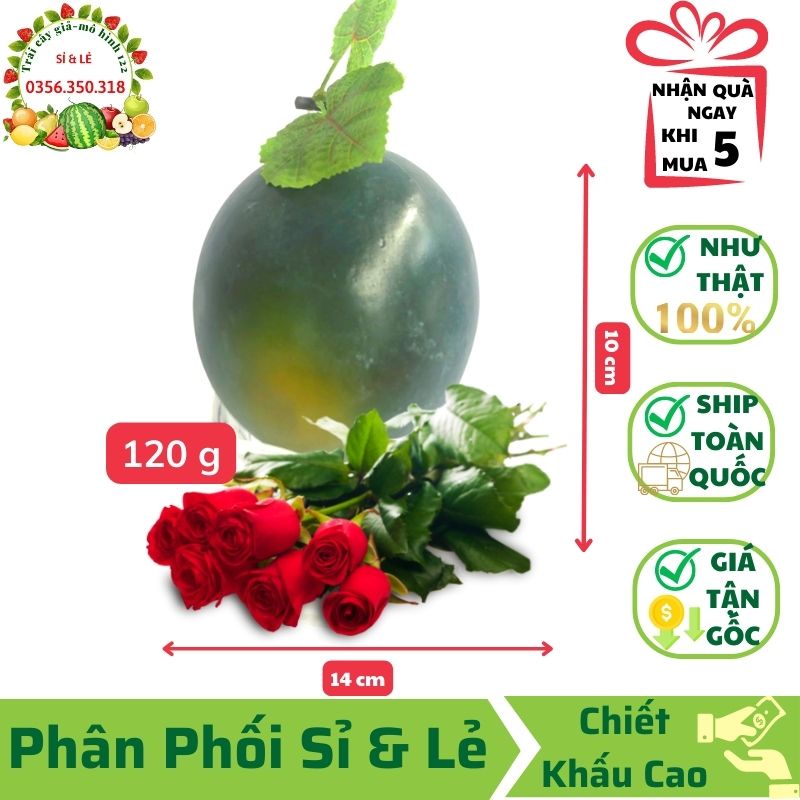 Trái Dưa Hấu Tròn Nhỏ Giả (10x14 cm) mô hình Việt Nam công nghệ Thái Lan GIỐNG THẬT 99%-Trang trí nhà, cửa hàng, decor