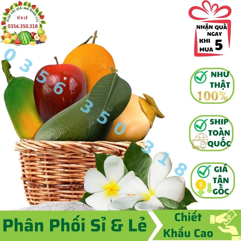 Combo 5 trái cây giả ( Dừa, Bơ xanh, Đu đủ, Táo mỹ, Cam mỹ) mô hình Việt Nam công nghệ Thái Lan GIỐNG THẬT 99%- Decor