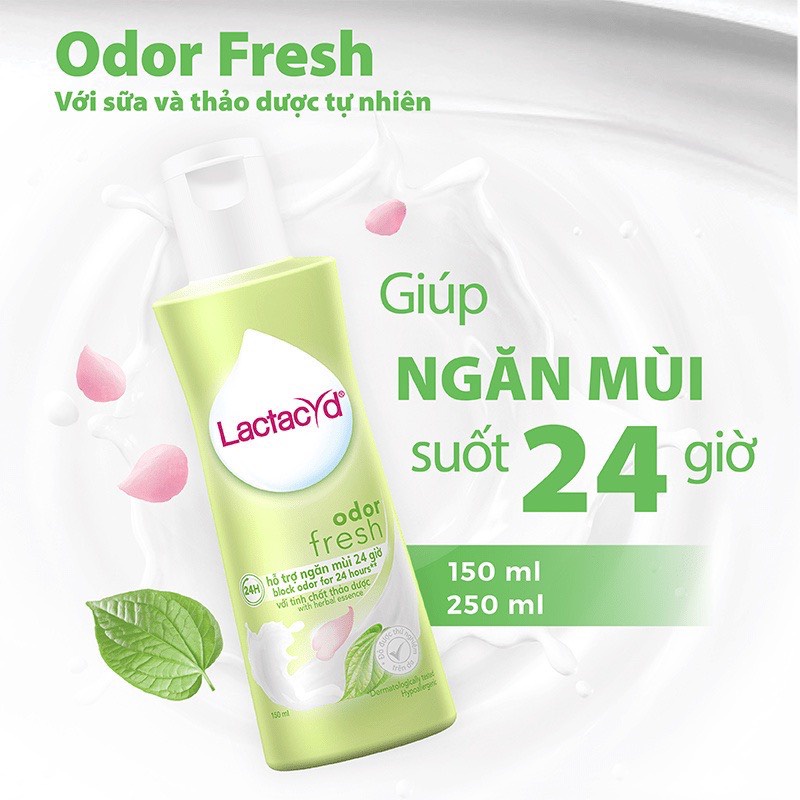 Dung Dịch Vệ Sinh Phụ Nữ Lactacyd Odor Fresh Ngăn Mùi 24H 250ml/chai