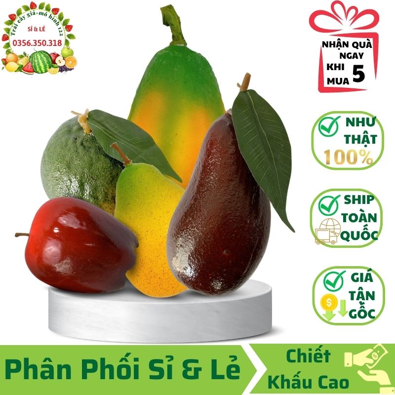 Combo 5 trái cây giả ( Lê, Bơ đỏ, Đủ tròn, Táo mỹ, Cam sành ) mô hình Việt Nam công nghệ Thái Lan GIỐNG THẬT 99%- Decor