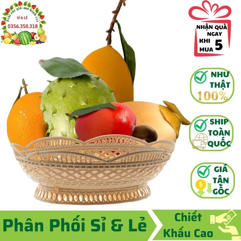 Combo 5 trái cây giả(Cầu gai tròn, Cam mỹ, Xoài cát, Đều đỏ, Dừa vàng)mô hình Việt Nam công nghệ Thái Lan GIỐNG THẬT 99%