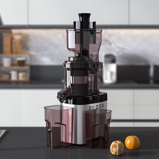 Máy ép trái cây chậm BUD BJ-36
