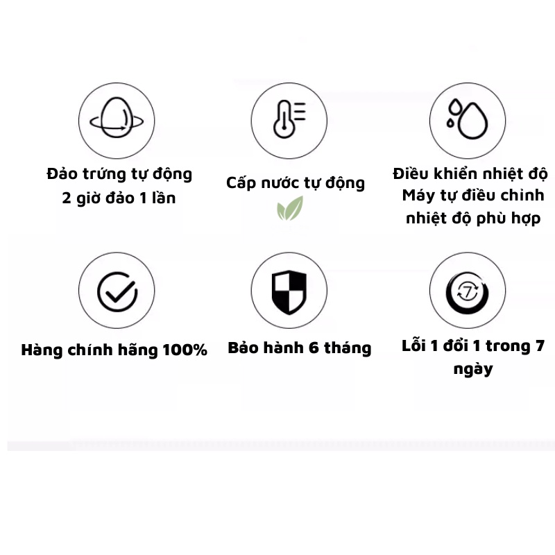 Máy ấp trứng mini thông minh tự động hoàn toàn DN52