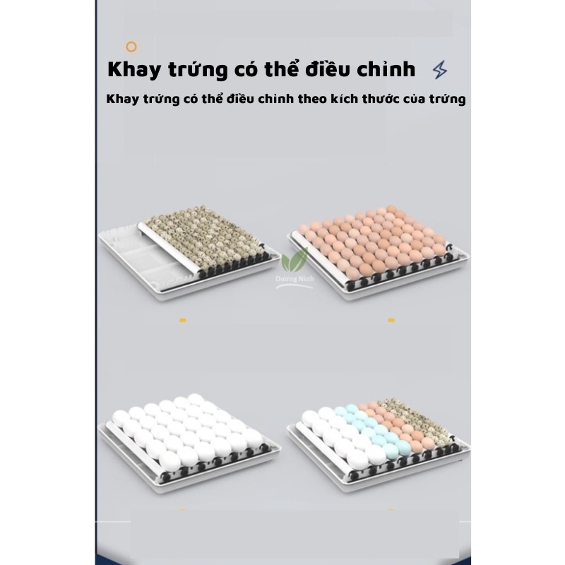 Máy ấp trứng mini thông minh tự động hoàn toàn DN52