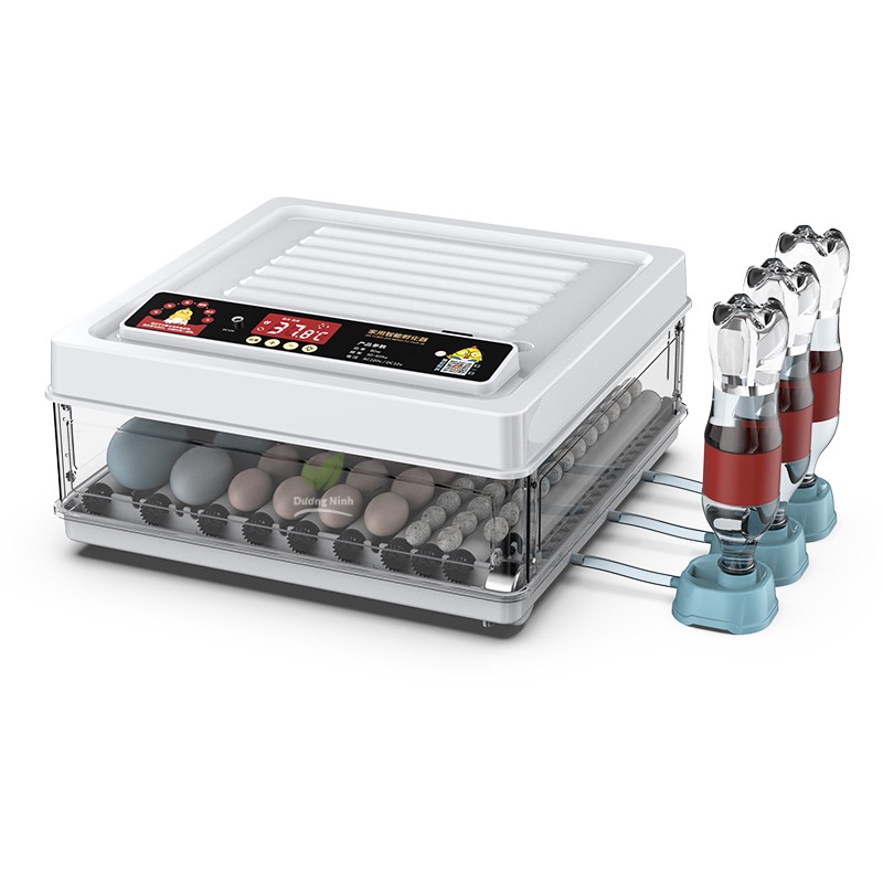 Máy ấp trứng mini thông minh tự động hoàn toàn DN52