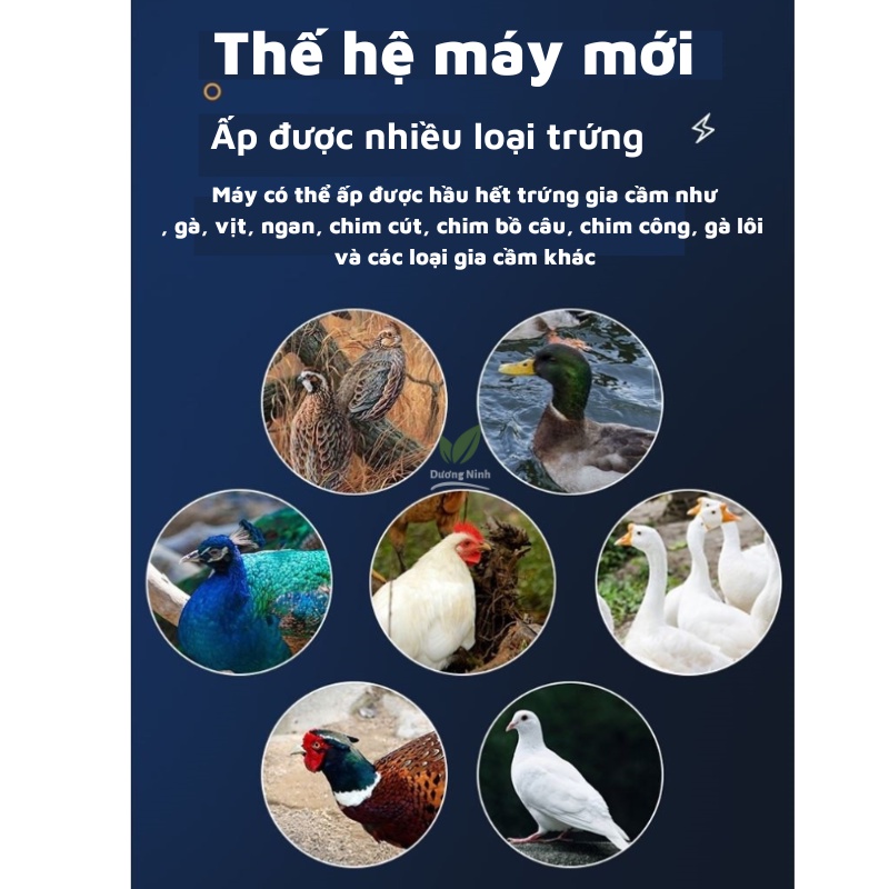 Máy ấp trứng mini thông minh tự động hoàn toàn DN52