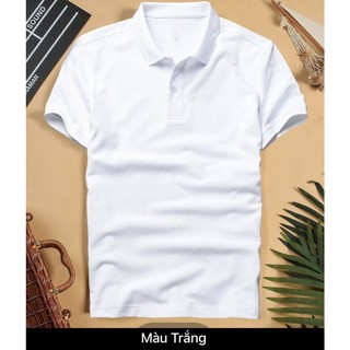 Áo Thun Polo nam