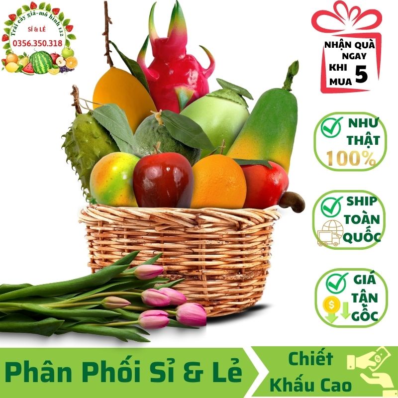 Combo 10 trái cây giả ( Đủ dài, Cầu gai dài, Thanh long, Táo mỹ, Cam mỹ, Cam sành, Đều, Lựu, Xoài cát, Dừa xanh)-Decor