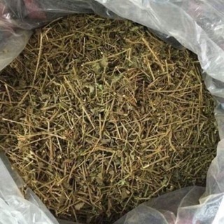 1kg Cây Cà Gai Leo khô sạch - Hàng chính hãng