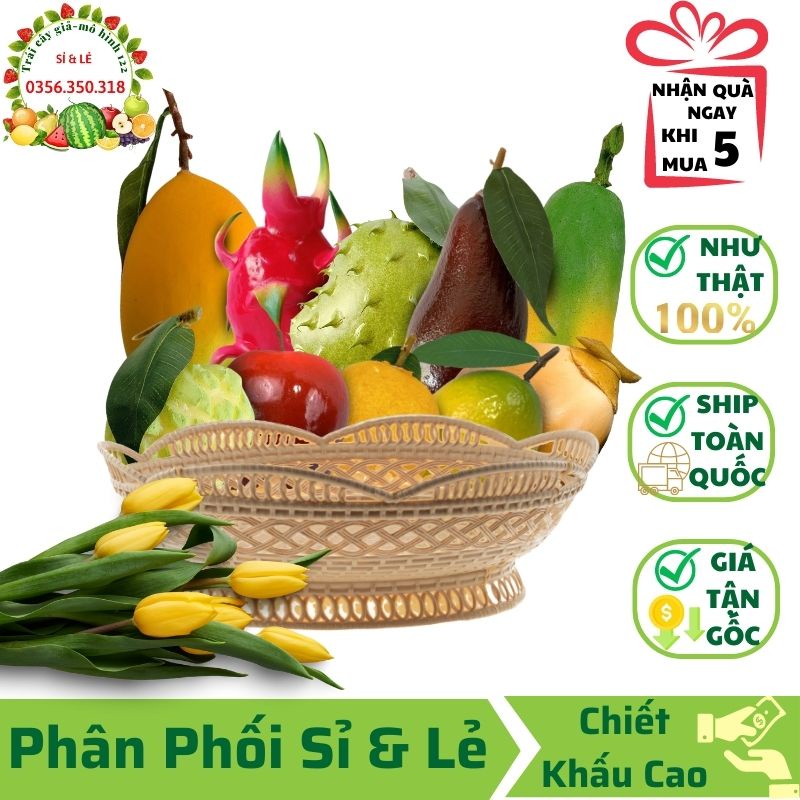 Combo 10 trái giả ( Đủ dài, Thanh long, Dừa vàng, Na, Táo mỹ, Táo tròn, Chanh, Xoài cát, Bơ nâu, Cầu gai tròn)-Trang trí