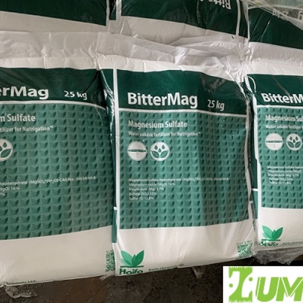 MgSO4.7H2O_ Magiê Sulfate Tinh Thể