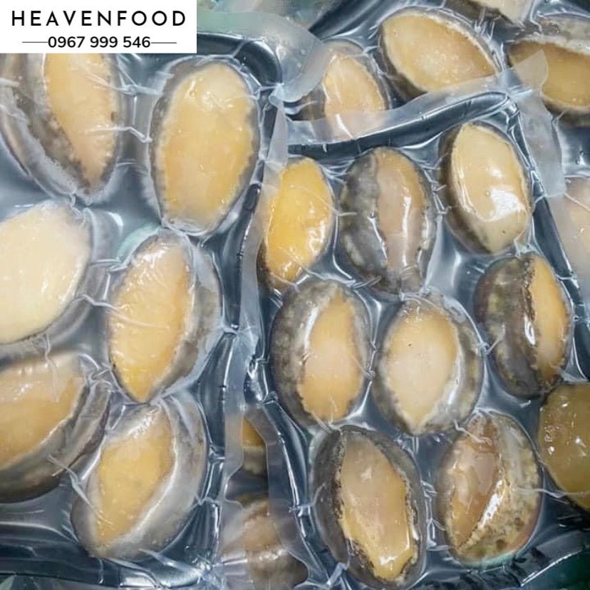 BÀO NGƯ HÀN QUỐC SIZE 16-20 CON/KG. GIÁ ƯU ĐÃI NHẤT, MUA LẺ GIÁ SỈ