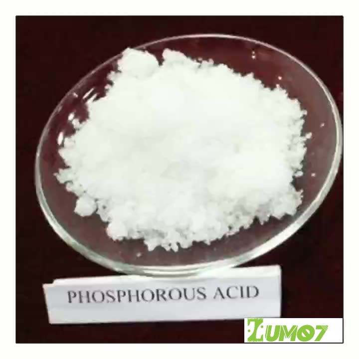 H3PO3 98%_ Acid Phosphorous_Siêu Lân 86 1kg