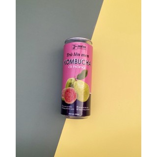 Trà lên men Kombucha ổi hồng, trà bất tử