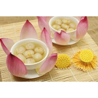 CÂY GIỐNG NHÃN LONG PHỤNG CHÂU[ GIỐNG MỚI SIÊU NĂNG SUẤT - 100% GIỐNG CHUẨN ] [ RẺ HƠN HOÀN TIỀN ]