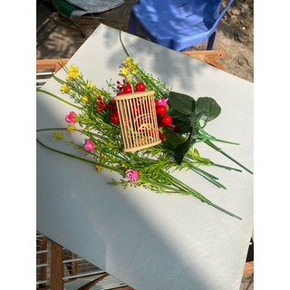 Rọ tre lồng chào mào, rọ đựng cào cào, dế cho chim cao cấp