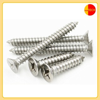 Vít chìm inox 304 bắt gỗ, tắc kê nhựa