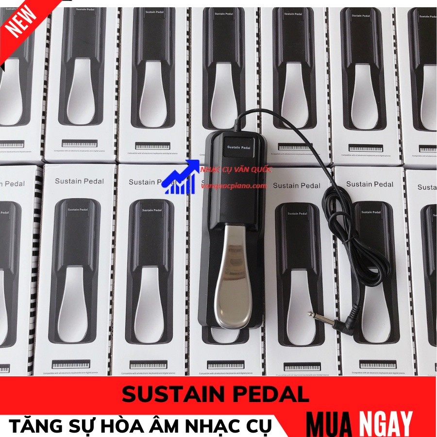 Mua Chân Đạp Pedal Sustain Cho Đàn Piano Electric Keyboards Đàn Organ ...