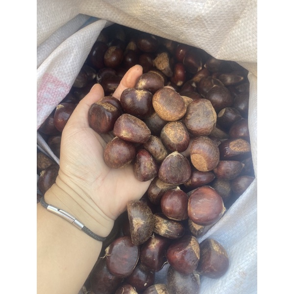 Hạt dẻ không khứa vỏ