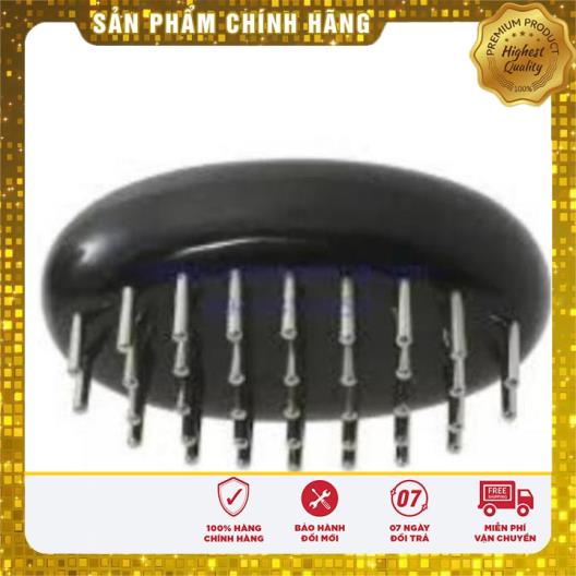 Con bọ diện chẩn lớn/ nhỏ
