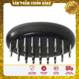 Con bọ diện chẩn lớn/ nhỏ