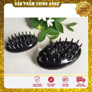 Con bọ diện chẩn lớn/ nhỏ