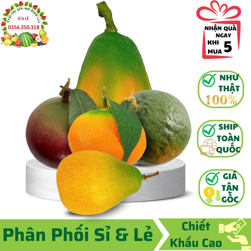 Combo 5 trái cây giả ( Đủ tròn, Lê, Quýt, Cam sành, Vú sữa) mô hình Việt Nam công nghệ Thái Lan GIỐNG THẬT 99%- Decor