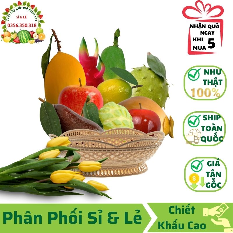 Combo 10 trái cây giả(Đủ dài, Thanh long, Dừa vàng, Na, Táo mỹ,Táo tròn, Chanh,Xoài cát, Bơ nâu,Cầu gai tròn)-Trang Trí