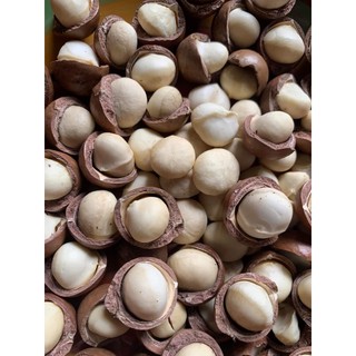 Nhân Macca Daklak (Nhân nguyên loại 1) 500Gr