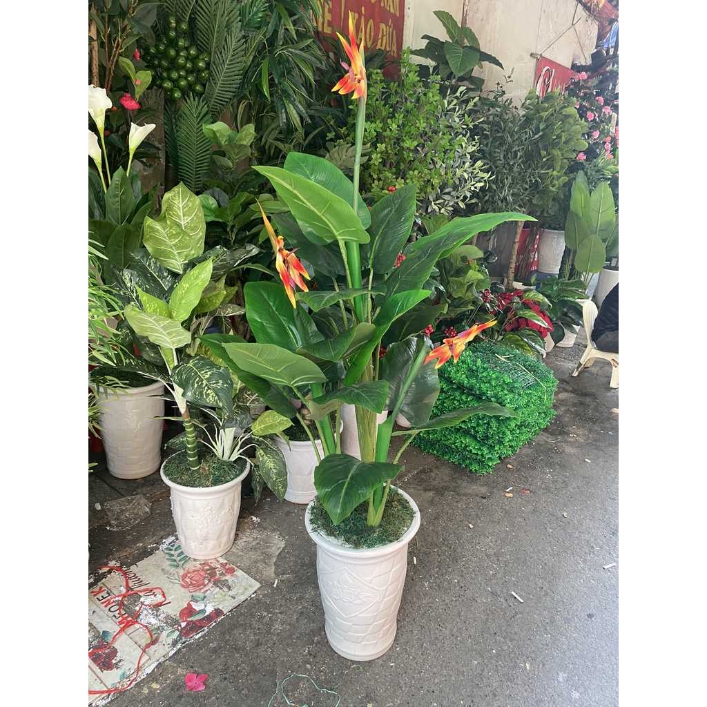 Cây giả cây thiên điểu 1met5 trang trí nhà cửa
