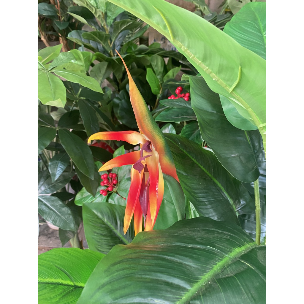 Cây giả cây thiên điểu 1met5 trang trí nhà cửa